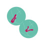 Sync Sensation Vibrator
