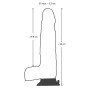 Dildo Nature Skin Dancing Dick