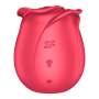 PRO 2 classic rose