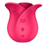 PRO 2 Modern rose