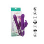 CalExotics Enchanted Flutter