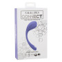 CalExotics Connect Kegel Exerciser 16732