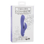 CalExotics Connect Dual Stimulator
