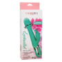 CalExotics Enchanted Oscillate