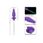 CalExotics Southern Lights Vibrating Light Up Anal Probe