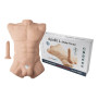 APOLLO L torso maschile realistico