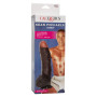 CalExotics Sean Michaels Dong
