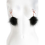 NS Novelties Bound Nipple Clamps F1