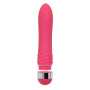 Vibratore vaginale Neo Dream Toyz4Lovers
