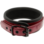 Collare con catena regolabile in pelle e fodera in neoprene fetish dark room
