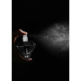 Profumo ai feromoni black diamond attract her 30 ml