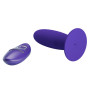 Vibratore anale in silicone con telecomando pretty love