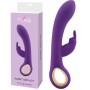 Vibrator rabbit vaginal stimulator double clitoris waterproof rechargeable purple