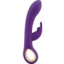 Vibrator rabbit vaginal stimulator double clitoris waterproof rechargeable purple