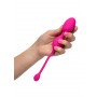 Vaginal ball with remote control and vibration Kegel System
