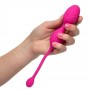 Vaginal ball with remote control and vibration Kegel System