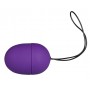 vibrating egg purple vibro