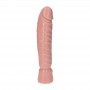 Dildo with Realistic Suction Cup Waterproof Soft Fake Penis for Men and Women