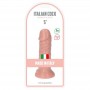 Small anal vaginal phallus dildo with realistic penis suction cup for men and women