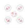 Pleasure dice game for couple