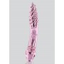 Double vaginal phallus Rhinestone Scepter glass