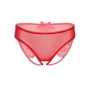 Transparent briefs with intimate opening and Nicolette crotchless panty lace
