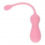 Palline vaginali vibranti Dual Joy