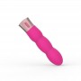 Vaginal vibrator Sweet Desires