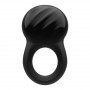 Vibrating phallic ring Signet Ring