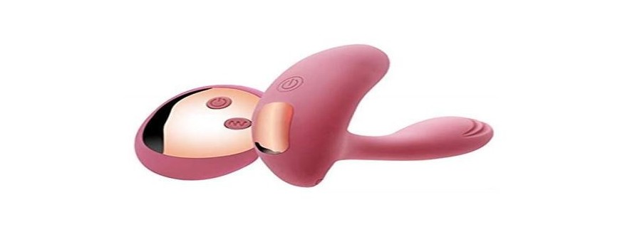 vibrator with remote control